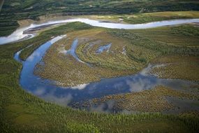 wildlife river lakes forest