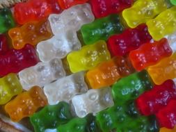 gummi bears sweet colorful gelatin jujube