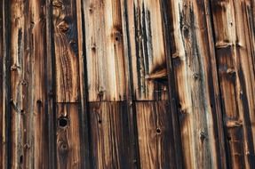 wood wooden wall background