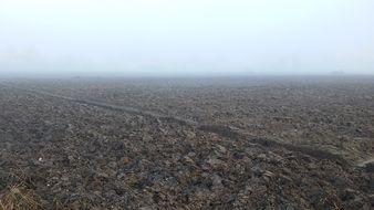 arable autumn fog background field