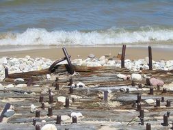 wood bindings weathered shore