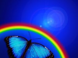 butterfly rainbow light bill seem