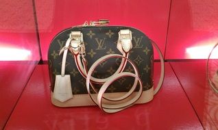 bag louis vuitton brown beige