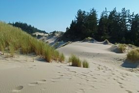 sand dunes national park