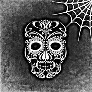 skull and crossbones cobweb