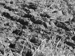 ground mud nature soil dirt earth