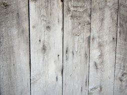wood texture wooden plank timber