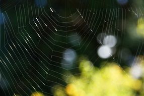 cobweb network weave structure