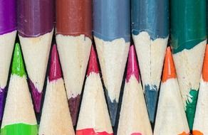 crayons colors lines wood forest