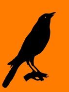 crow bird animal black logo shape