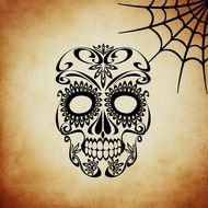 skull and cobweb