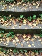 stairs gradually autumn away