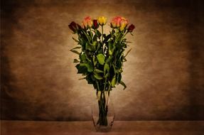 flower flowers rose art dark