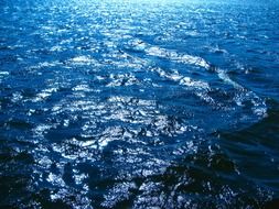 shiny water surface of lake brno