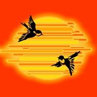 sun sunset birds fragment