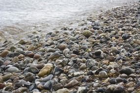 stones beach background sea wet