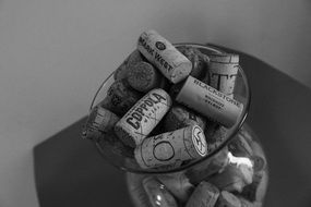 wine cork, black and white