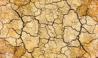 cracks drought earth land surface