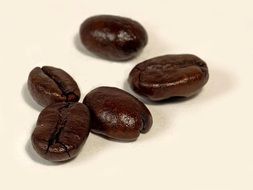 background white coffee roasted