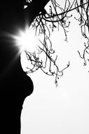 black white and light