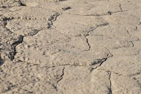 cracked dry earth