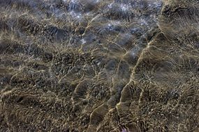 sand reflection sea beach nature