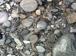 pebbles rocks texture floor stones