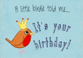 bird birthday card blue modern