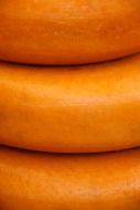 dutch circle cheese dairy