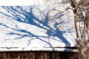 hut roof wood tree snow shadow