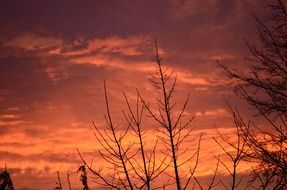 morning sun red sky clouds nature