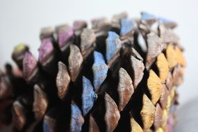cone decoration nature wood