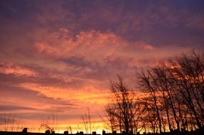 morning sun red sky clouds nature landscape