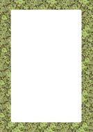 picture frame