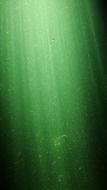 green underwater light sun streaks