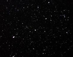 snow dots white texture black