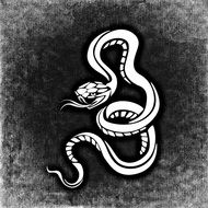 drawn snake on a black and white background