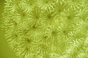 green paper flowers as background