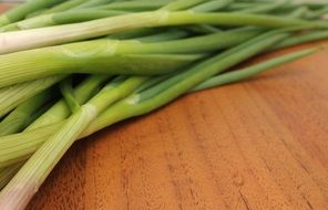 green spring onion on a wooden background