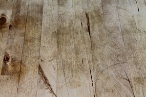 nature wood structure background