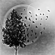 black and white drawing of a tree and flying birds