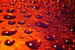 macro drops rain background