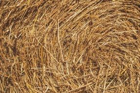 hay farm countryside texture