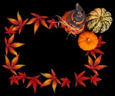 pumpkins and autumn leaves on a black background