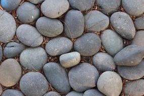 grey pebbles on the ground