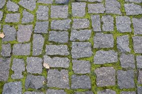 paving stones grass