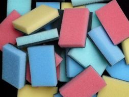 a variety of sponges