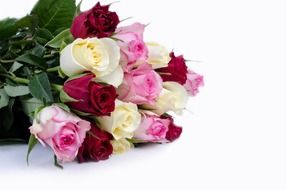 flower flowers rose love