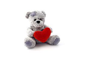 teddy bear animal toy fluffy soft