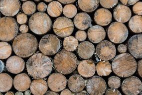 wood about spar brown winter cold